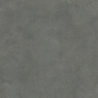 Товар: Керамогранит Ariana Luce Piombo Ret арт-0006548 - фото 1 Керамогранит Ariana Luce Piombo Ret арт-0006548 — фото 1, Керамогранит