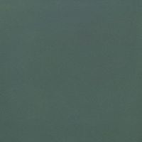 Товар: Керамогранит Casalgrande Padana Unicolore Technic Verde Antibacterial Levigato 7,3mm арт-709107 - фото 1 Керамогранит Casalgrande Padana Unicolore Technic Verde Antibacterial Levigato 7,3mm арт-709107 — фото 1, Керамогранит