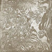 Керамогранит Ceramica Fioranese I Variegati Argilla арт-IV208R — фото 3, Керамогранит