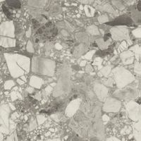 Керамогранит Atlas Concorde Russia Forte Dei Marmi Ceppo Apuano Pearl Matt Rett арт-600010002411 — фото 5, Керамогранит