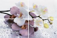 Товар: Панно Terracotta Alba Orchid арт-AL-P-ORC - фото 1 Панно Terracotta Alba Orchid арт-AL-P-ORC — фото 1, Панно