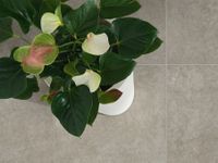 Ступень Italon Nova Brown Gradino арт-610140000022 — фото 2, Ступени и клинкер