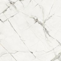Керамогранит Ceramica Fioranese Marmorea Intensa Bianco Luce levigato арт-M5601LR — фото 1, Керамогранит