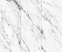 Товар: Керамогранит Basconi Home Federica Shape Ink арт-BHK-4005 - фото 5 Керамогранит Basconi Home Federica Shape Ink арт-BHK-4005 — фото 5, Керамогранит