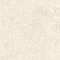 Керамогранит Grespania Fosil Bone Rec арт-81F236R — фото 2, Керамогранит