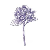 Керамогранит 41zero42 Stories Eddiy Lux 50 Patterns арт-4101304 — фото 6, Керамогранит