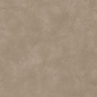 Керамогранит Alma ceramica Flora Лаппатированная арт-GFU6060FLO40L — фото 9, Керамогранит