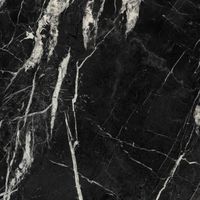Керамогранит Xlight (Porcelanosa Grupo) Marquina Black Polished арт-100302678 — фото 1, Керамогранит
