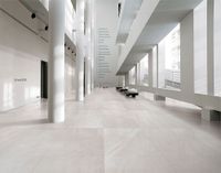 Керамогранит NT Ceramic Zeus арт-ZS6NTT9701M — фото 7, Керамогранит