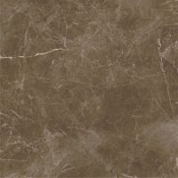 Керамогранит Alma ceramica Aparel Лаппатированный арт-GFU6060APL40L — фото 9, Керамогранит