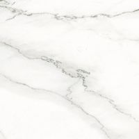 Керамогранит Ariostea Marmi Classici Calacatta Lincoln Polished 8mm арт-PL6523 — фото 1, Керамогранит