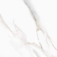 Керамогранит Pardis Ceramic Pazh Pelatin Polished арт-166509 — фото 5, Керамогранит