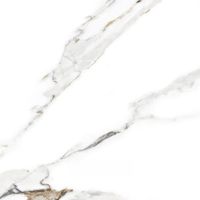 Керамогранит Absolut Gres Aspire Gold gloss арт-AB1202G — фото 5, Керамогранит