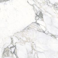 Керамогранит Ariostea Ultra Marmi Arabescato Statuario Polished 6mm арт-UM6L75479 — фото 1, Керамогранит