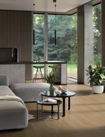 Товар: Керамогранит Atlas Concorde Italy Entice Pale Oak Natural арт-A841 - фото 15 Керамогранит Atlas Concorde Italy Entice Pale Oak Natural арт-A841 — фото 15, Керамогранит