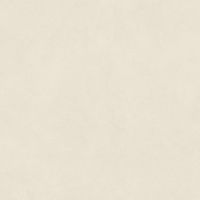 Керамогранит Atlas Concorde Italy Boost Natural Pro Salt Matt Ret арт-A9RL — фото 3, Керамогранит