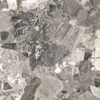 Товар: Керамогранит ProGRES Pride Grey Матовый арт-NR0387 - фото 4 Керамогранит ProGRES Pride Grey Матовый арт-NR0387 — фото 4, Керамогранит