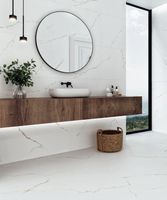 Керамогранит Stn Ceramica Thuile Venato Natural Mt арт-CAN5THUIVDAA — фото 4, Керамогранит