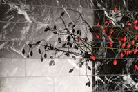 Керамогранит Ceramica Fioranese Prestige Statuarietto effect levigato арт-M3751LR — фото 14, Керамогранит