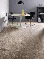 Керамогранит Ceramica Fioranese Frammenta Grigio Chiaro lucido арт-CG363LR — фото 9, Керамогранит