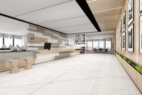 Керамогранит NT Ceramic Atlas Wide Tantai Jin Demon арт-NTT3013P (C) — фото 11, Керамогранит