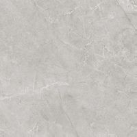 Керамогранит Laparet Pluto Silver матовый арт-SG625820R — фото 1, Керамогранит