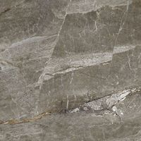 Керамогранит Absolut Gres Aquafina Natural Gloss арт-AB 1129G — фото 2, Керамогранит