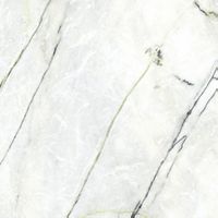 Керамогранит Xlight (Porcelanosa Grupo) Calacatta Premium Green Polished 120 арт-C221101941 — фото 1, Керамогранит