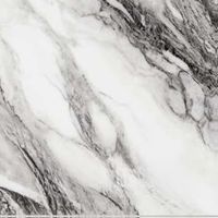 Керамогранит Edimax Astor Touche Zebre арт-4D55 — фото 1, Керамогранит