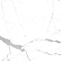 Товар: Напольная плитка Eurotile Statuario арт-3 SR 0005 - фото 6 Напольная плитка Eurotile Statuario арт-3 SR 0005 — фото 6, Напольная плитка