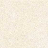 Керамогранит Alma ceramica Amsterdam Матовый арт-GFU6060ADM04R — фото 5, Керамогранит