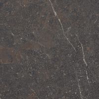 Товар: Керамогранит Museum Royal Brown SP R арт-42818 - фото 13 Керамогранит Museum Royal Brown SP R арт-42818 — фото 13, Керамогранит