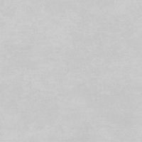 Керамогранит Alma ceramica Beton Pro Матовый арт-GFU6060BTP70R — фото 9, Керамогранит