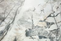 Керамогранит Museum Premiere White Sp арт-3389132930 — фото 2, Керамогранит