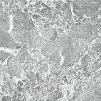 Товар: Керамогранит ProGRES Гриджио Серый матовый арт-NR0340 - фото 3 Керамогранит ProGRES Гриджио Серый матовый арт-NR0340 — фото 3, Керамогранит