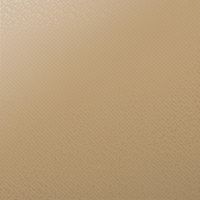 Товар: Керамогранит Settecento Aguas Plain Terracotta арт-118403 - фото 1 Керамогранит Settecento Aguas Plain Terracotta арт-118403 — фото 1, Керамогранит