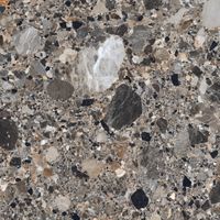 Керамогранит Concor 60x60 Ceppo Grey Natural Polished арт-210039 — фото 1, Керамогранит