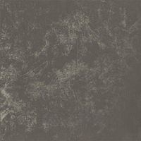 Товар: Керамогранит Casalgrande Padana Resina Havana арт-10950022 - фото 1 Керамогранит Casalgrande Padana Resina Havana арт-10950022 — фото 1, Керамогранит