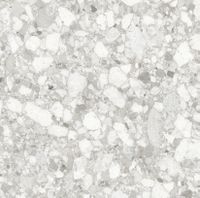 Керамогранит Sant Agostino Venistone Pearl Nat Ret арт-CSAVPE1212 — фото 7, Керамогранит