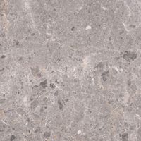 Керамогранит Grespania Artic Gris Pul арт-81RC36P — фото 1, Керамогранит