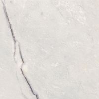 Товар: Керамогранит Ariana Epoque 21 Lilac White Ant R арт-PF60009348 - фото 4 Керамогранит Ariana Epoque 21 Lilac White Ant R арт-PF60009348 — фото 4, Керамогранит