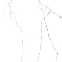 Товар: Керамогранит ProGRES Ice Marble Белый арт-CNR0300 - фото 6 Керамогранит ProGRES Ice Marble Белый арт-CNR0300 — фото 6, Керамогранит