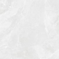 Керамогранит Ceradim Regnum Bianco матовый арт-CR6060G0391R — фото 9, Керамогранит