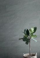 Керамогранит Flaviker PI.SA Rockin Grey Nat арт-0010117 — фото 1, Керамогранит