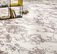 Керамогранит Edimax Astor Touche Zebre арт-6J11 — фото 4, Керамогранит