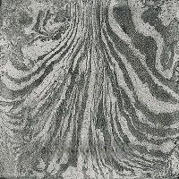 Керамогранит Ceramica Fioranese I Variegati Pece арт-IV200R — фото 4, Керамогранит