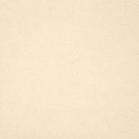 Керамогранит Casalgrande Padana Unicolore Technic Bianco Avorio Naturale 8mm арт-700101 — фото 1, Керамогранит