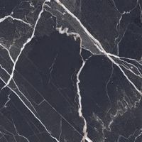 Керамогранит Imola ceramica Calacatta CAL.BLACK 60 RM арт-Cal.Black60Rm — фото 1, Керамогранит