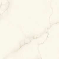 Керамогранит Atlas Concorde Italy Marvel X Calacatta Apuano Lappato арт-AFU7 — фото 13, Керамогранит