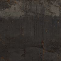 Товар: Керамогранит Estima Patina Black TP02 Неполированный Рект 80 арт-71688 - фото 4 Керамогранит Estima Patina Black TP02 Неполированный Рект 80 арт-71688 — фото 4, Керамогранит